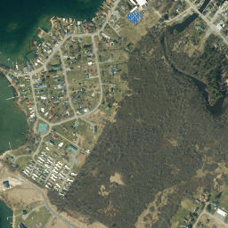 Fishers Landing New York High Resolution Satellite Map