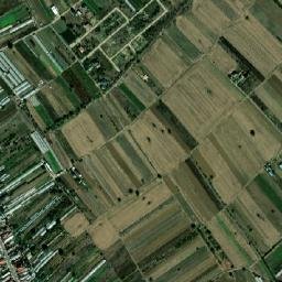 Comuna Copăceni map(satellite map)