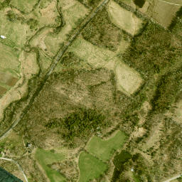 Keenes New York High Resolution Satellite Map