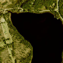 Gale New York High Resolution Satellite Map