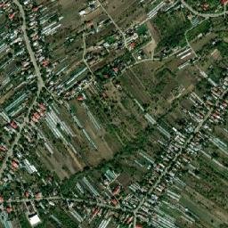 Adunații-Copăceni map(satellite map)