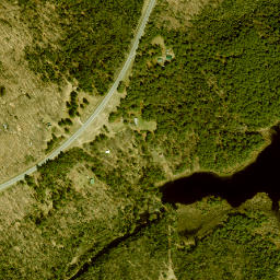 Shurtleff New York High Resolution Satellite Map