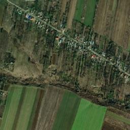 Sălcuţa map(satellite map)