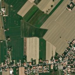 Pisignano map(satellite map)