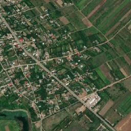 Letca Nouă map(satellite map)
