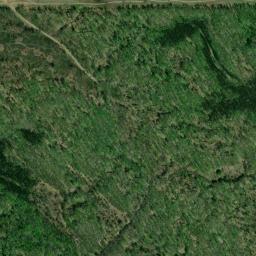 Satellite view of The Michigan Dogman