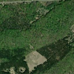 Highway 55, Manistee National Forest, Cadillac High Resolution Satellite Map