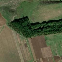 Comuna Frăsinet map(satellite map)