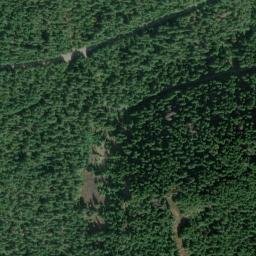 58597 McKenzie Highway, Blue River, OR High Resolution Satellite Map