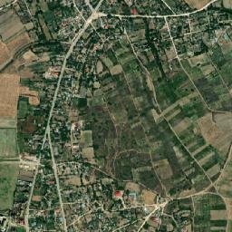 Oltina map(satellite map)