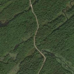 Alpina New York High Resolution Satellite Map