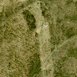 Backus New York High Resolution Satellite Map