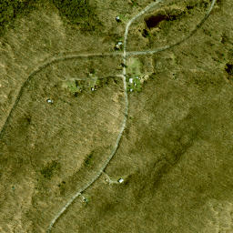 Coffins Mills New York High Resolution Satellite Map