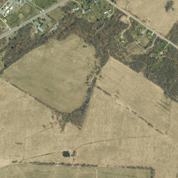 Sunnybank New York High Resolution Satellite Map