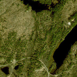 Kalurah New York High Resolution Satellite Map