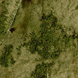 Jayville New York High Resolution Satellite Map