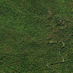 Satellite view of Wentworth Golf Club