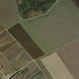 Dăneasa map(satellite map)