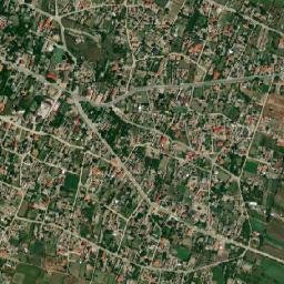 Comuna Salcia map(satellite map)