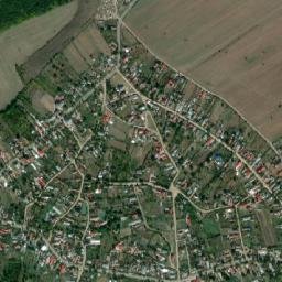 Drăgăneşti de Vede map(satellite map)