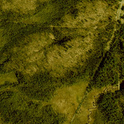 Horseshoe New York High Resolution Satellite Map