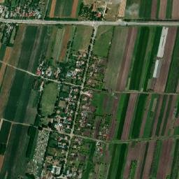Dioşti map(satellite map)