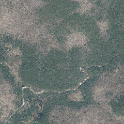 Essex County map(satellite map)