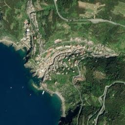 Riomaggiore map(satellite map)