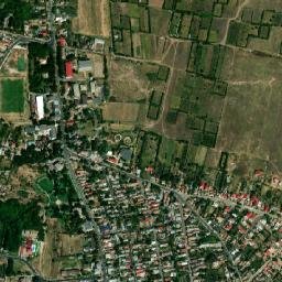 Segarcea map(satellite map)