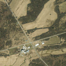 Reynolds Corner New York High Resolution Satellite Map