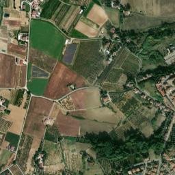 Montiano map(satellite map)
