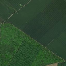 Cobadin map(satellite map)
