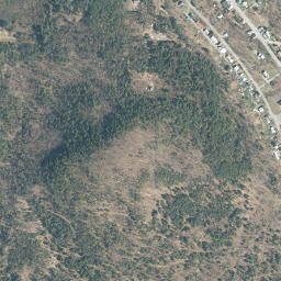 Witherbee New York High Resolution Satellite Map