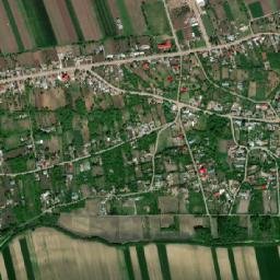 Puieni map(satellite map)