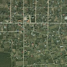 Viișoara map(satellite map)