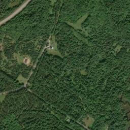 Diana Center New York High Resolution Satellite Map