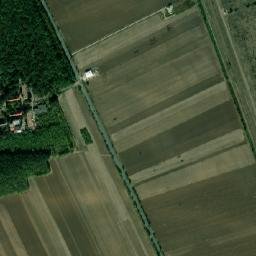 Deveselu map(satellite map)