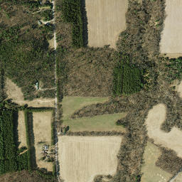 Perkins Road, Mindoro, WI 54644, USA High Resolution Satellite Map