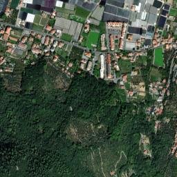 San Fedele-Lusignano map(satellite map)