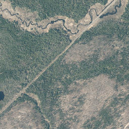 Robinwood New York High Resolution Satellite Map