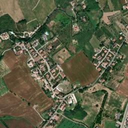 Poggio Berni map(satellite map)