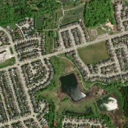 what is tnr for cats