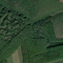 Obshtina Tutrakan map(satellite map)