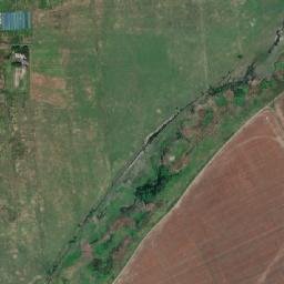 Mikhaylovskiy Rayon map(satellite map)