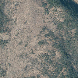 Cold Spring Park New York High Resolution Satellite Map