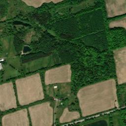 Satellite view of King's Riding Golf Club