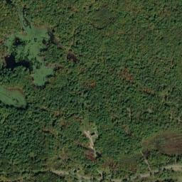 Texas New York High Resolution Satellite Map