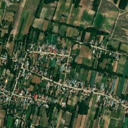 Dăneţi map(satellite map)