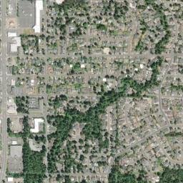 Florence map(satellite map)