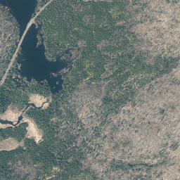 Partlow New York High Resolution Satellite Map